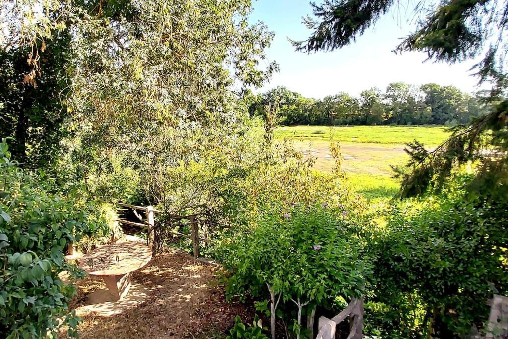 Le Bois Flotté - Maison au cœur de la Loire entre ville et nature Saumur Esterno foto