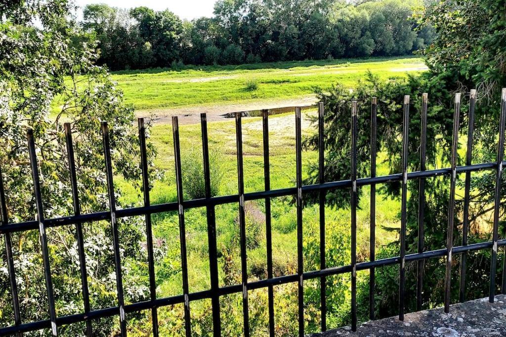 Le Bois Flotté - Maison au cœur de la Loire entre ville et nature Saumur Esterno foto